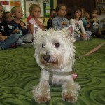 „Zwierzęta to nie przedmioty” „Zwierzęta to nie przedmioty”